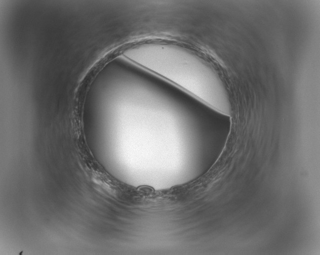 X0000073891256200608110900