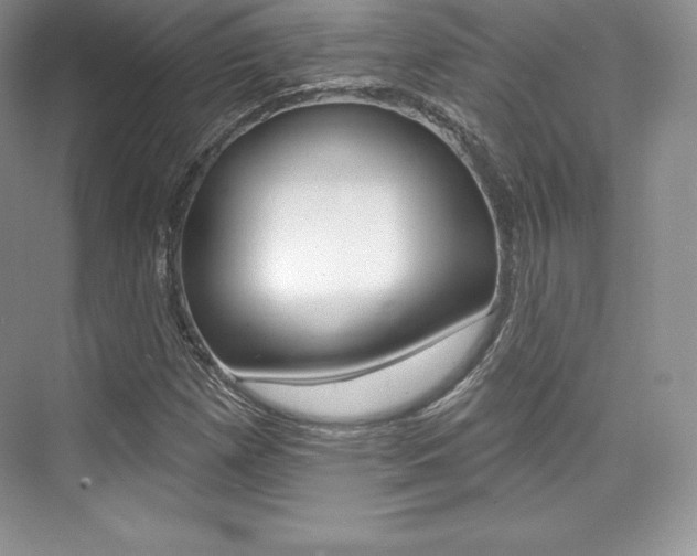 X0000073891257200608110900