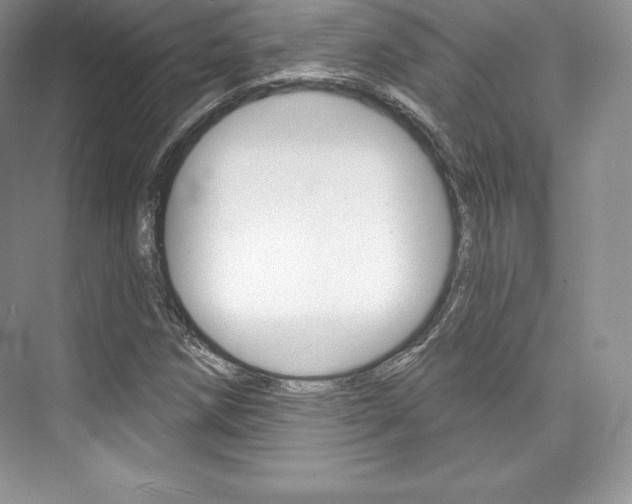 X0000073891258200608110900