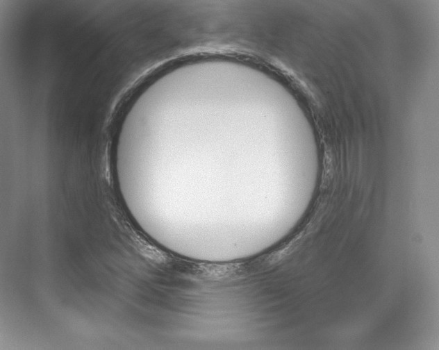 X0000073891262200608110900