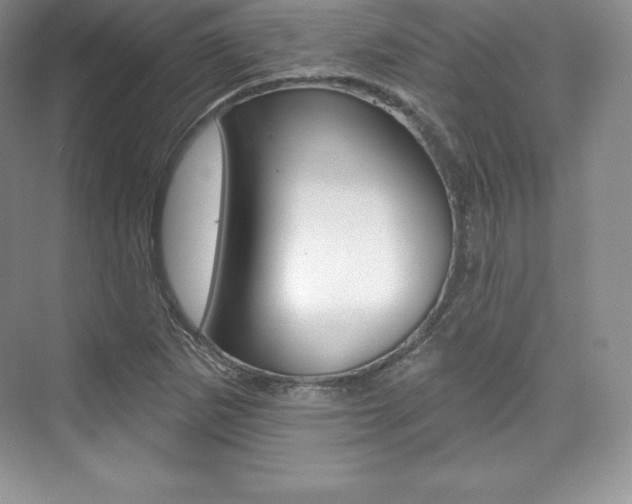X0000073891265200608110900