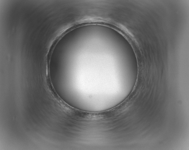 X0000073891269200608110900