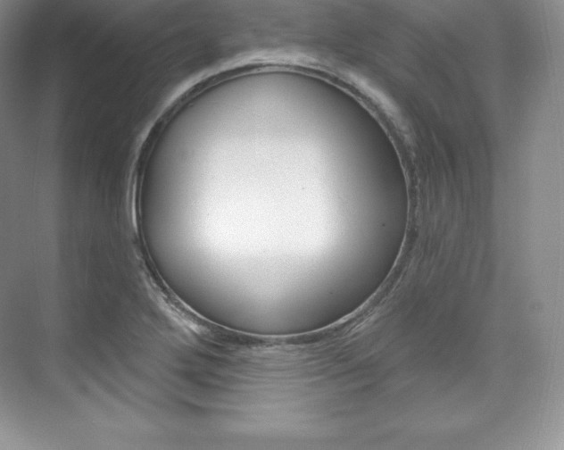 X0000073891272200608110900