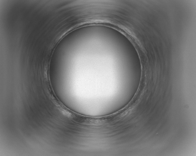 X0000073891273200608110900