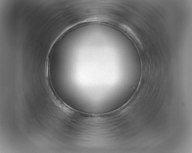X0000073891276200608110900