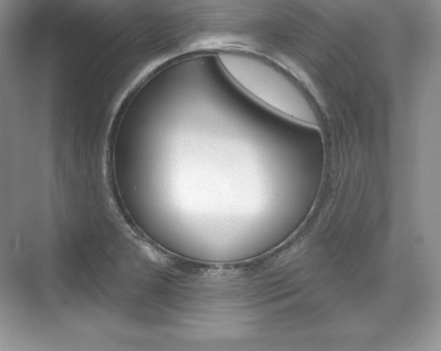 X0000073891277200608110900