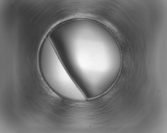 X0000073891280200608110900