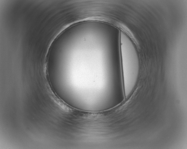 X0000073891284200608110900