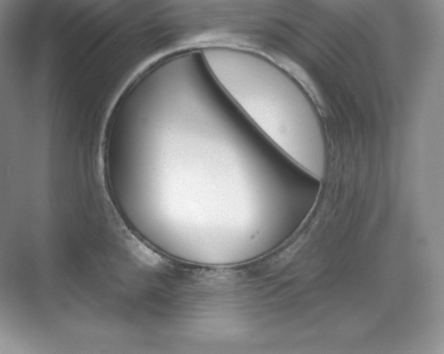 X0000073891288200608110900