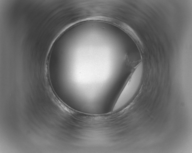 X0000073891292200608110900