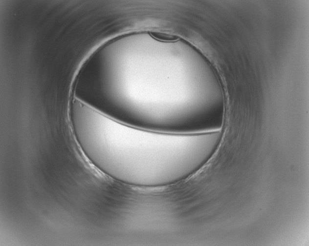 X0000073891296200608110900