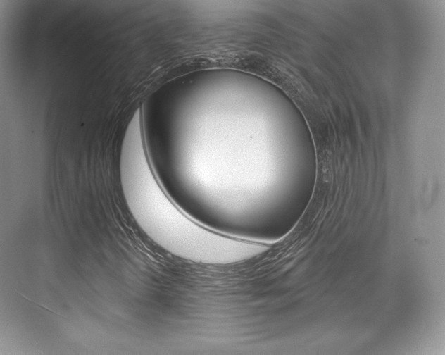 X0000073891298200608110859