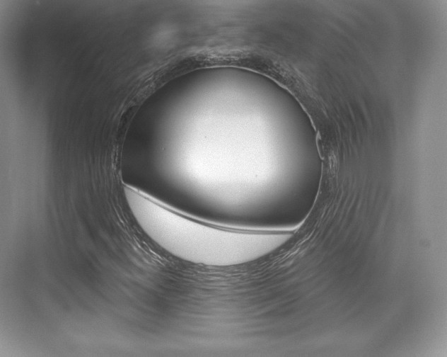 X0000073891300200608110859