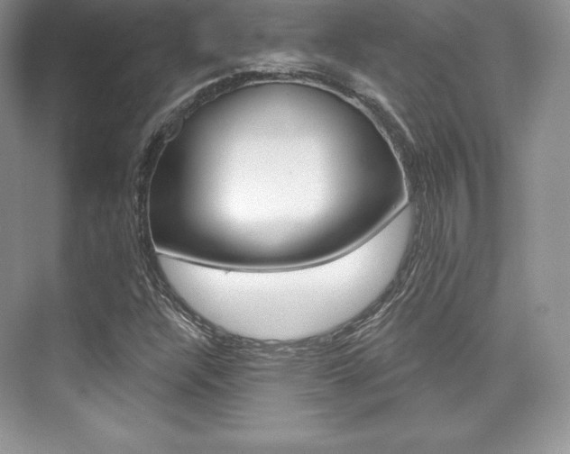 X0000073891304200608110859