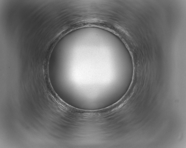 X0000073891305200608110859