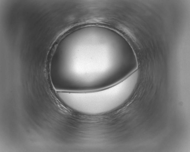 X0000073891308200608110859