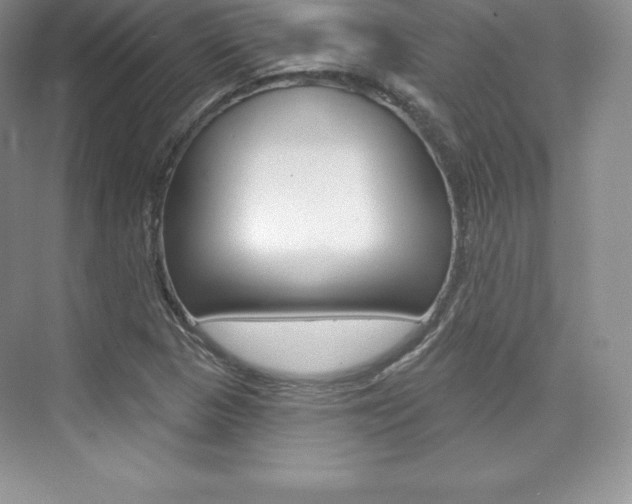 X0000073891313200608110859