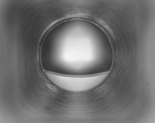 X0000073891316200608110859