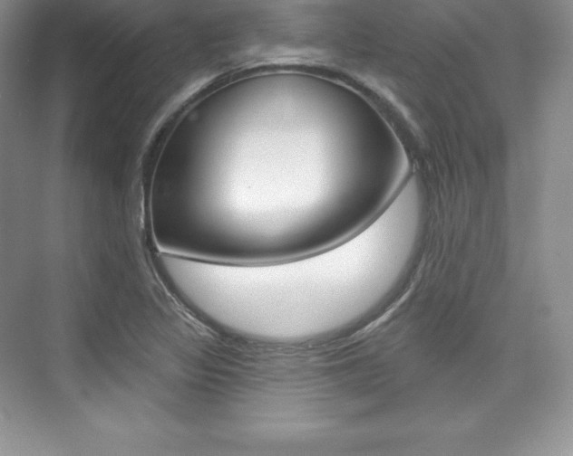 X0000073891317200608110859