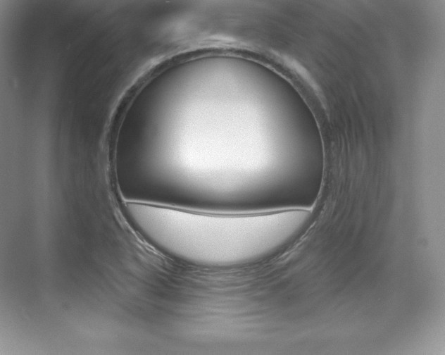 X0000073891318200608110859