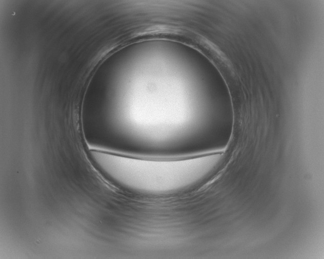 X0000073891321200608110859