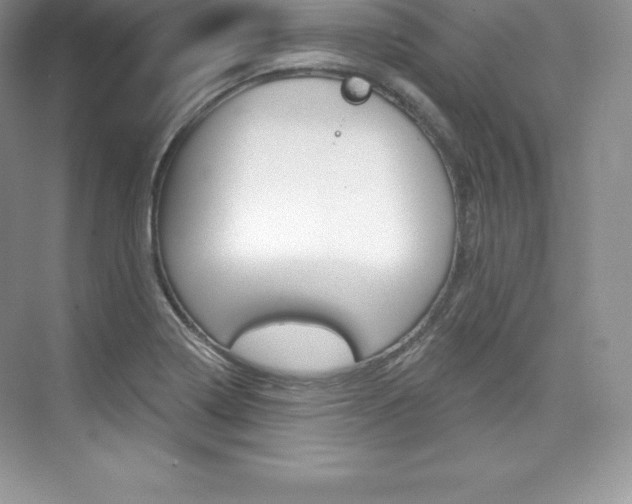X0000073891322200608110859