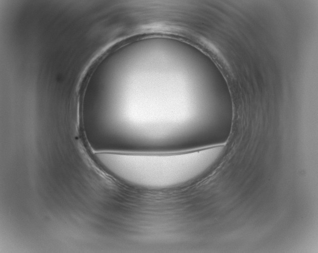 X0000073891323200608110859