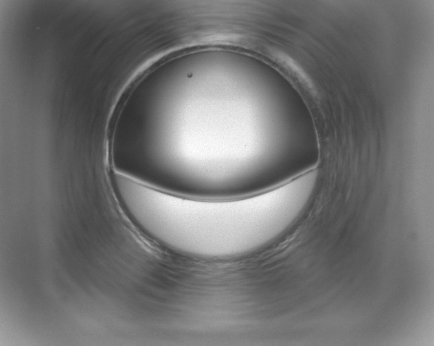 X0000073891324200608110859