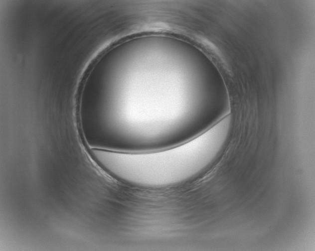 X0000073891326200608110859