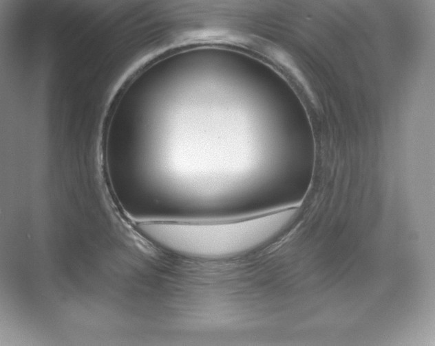 X0000073891328200608110900