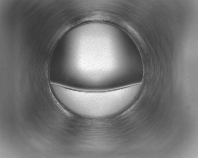 X0000073891329200608110900