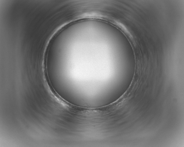 X0000073891331200608110900