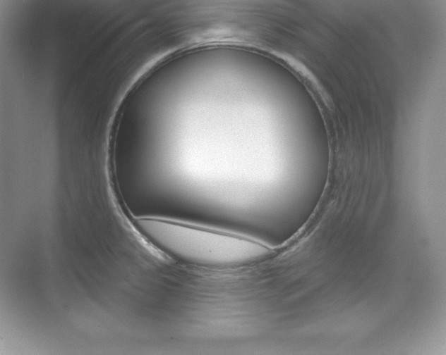 X0000073891333200608110900