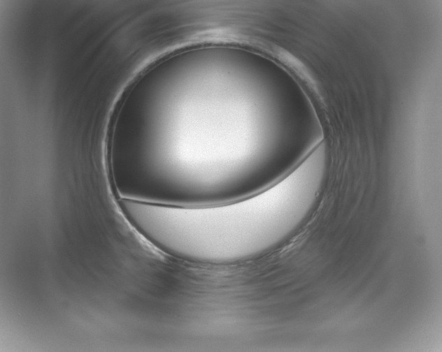 X0000073891334200608110900