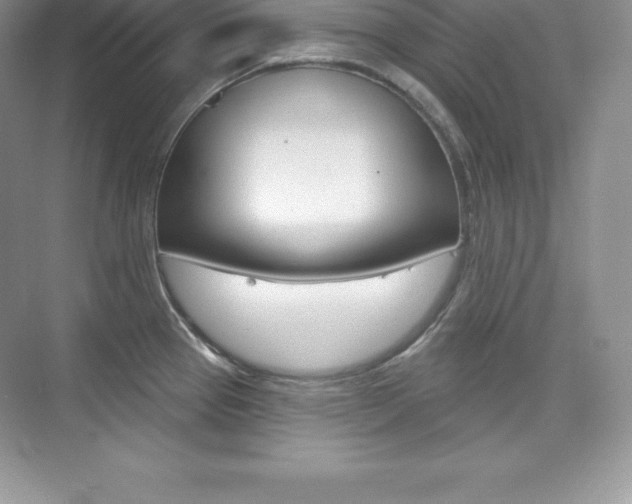 X0000073891337200608110900