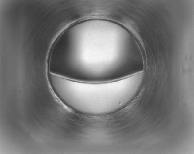 X0000073891341200608110900