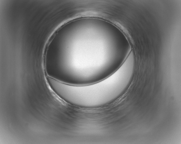 X0000073891342200608110900