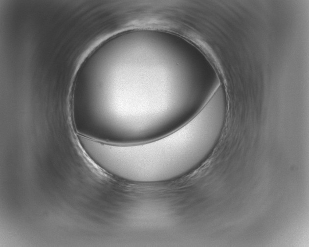 X0000073891344200608110900