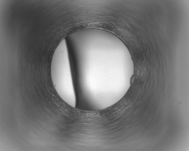 X0000073891346200608110859