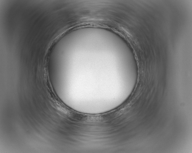 X0000073891354200608110859