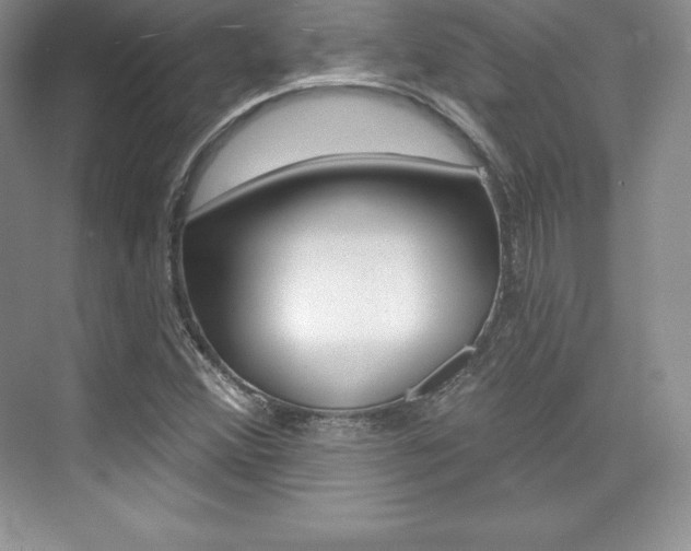 X0000073891356200608110859