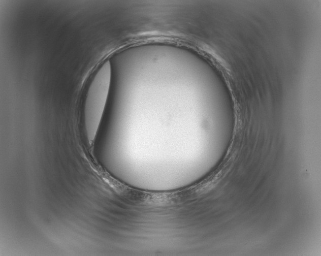 X0000073891357200608110859