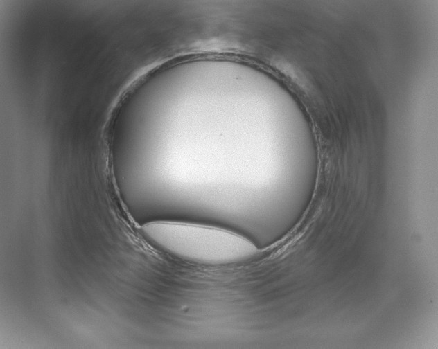 X0000073891358200608110859