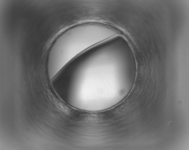 X0000073891359200608110859