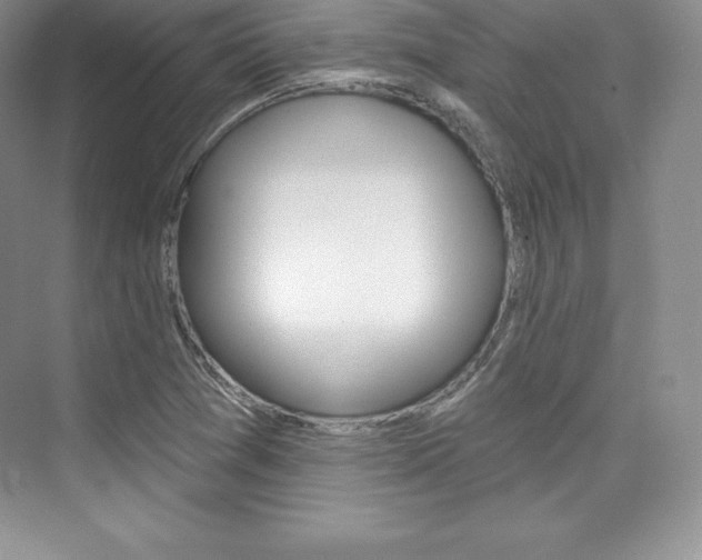 X0000073891361200608110859