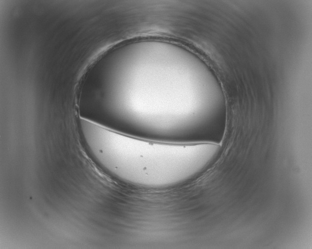 X0000073891363200608110859
