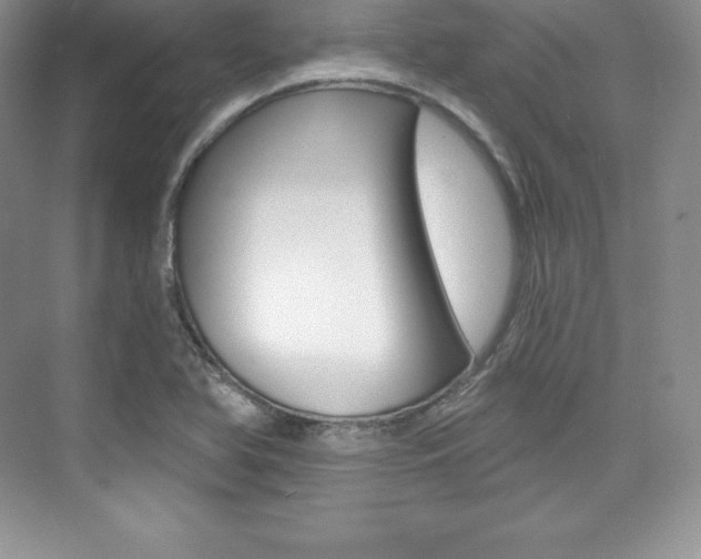 X0000073891366200608110859