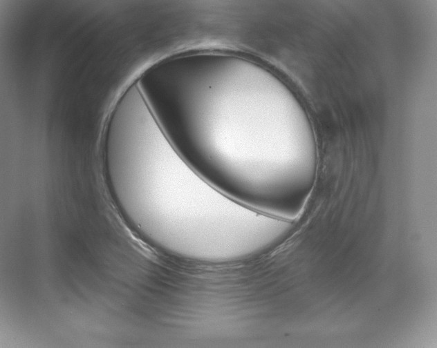 X0000073891367200608110859