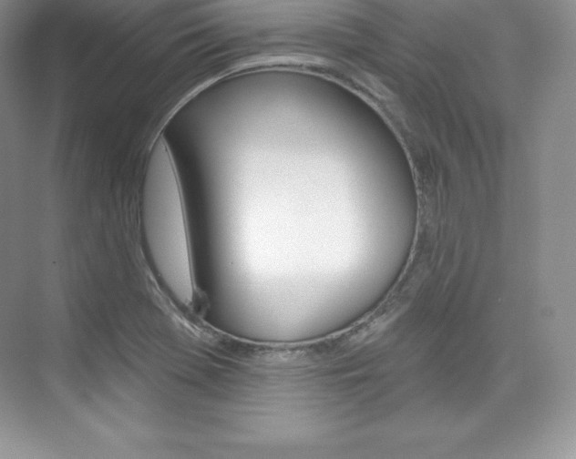 X0000073891369200608110859