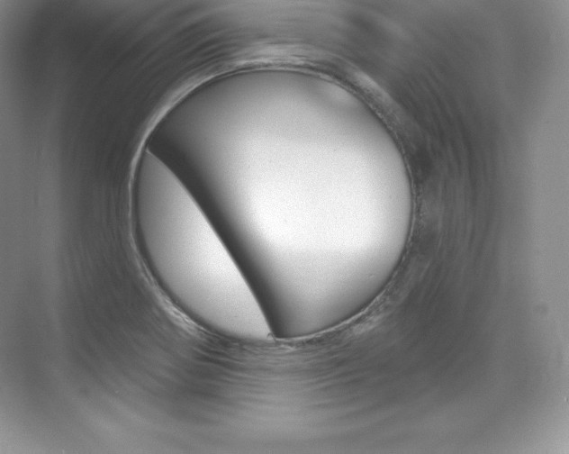X0000073891370200608110859